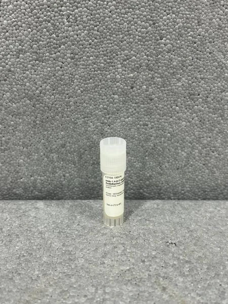 ндо-1,4-β-D-глюканаза из Acidothermus cellulolyticus