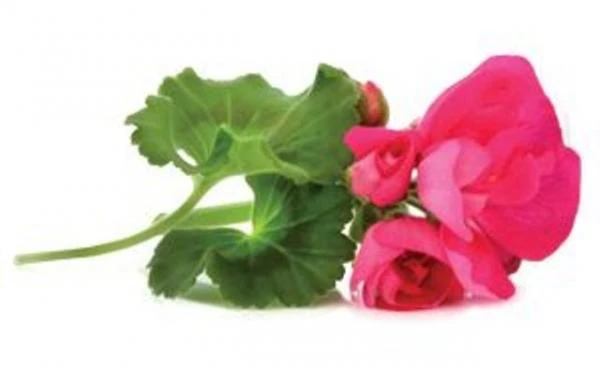 Ингибитор отложения минеральных солей ИОМС-1