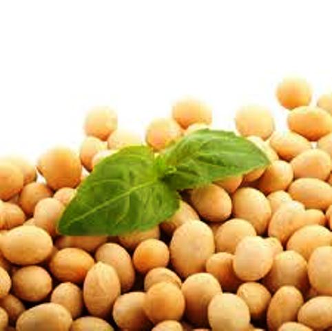 Фито-40 (изофлавоны сои в капсулах) Vivasan, Швейцария