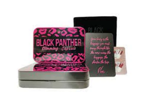 Oltin yo'lbars erkaklariga tayyorgarlik