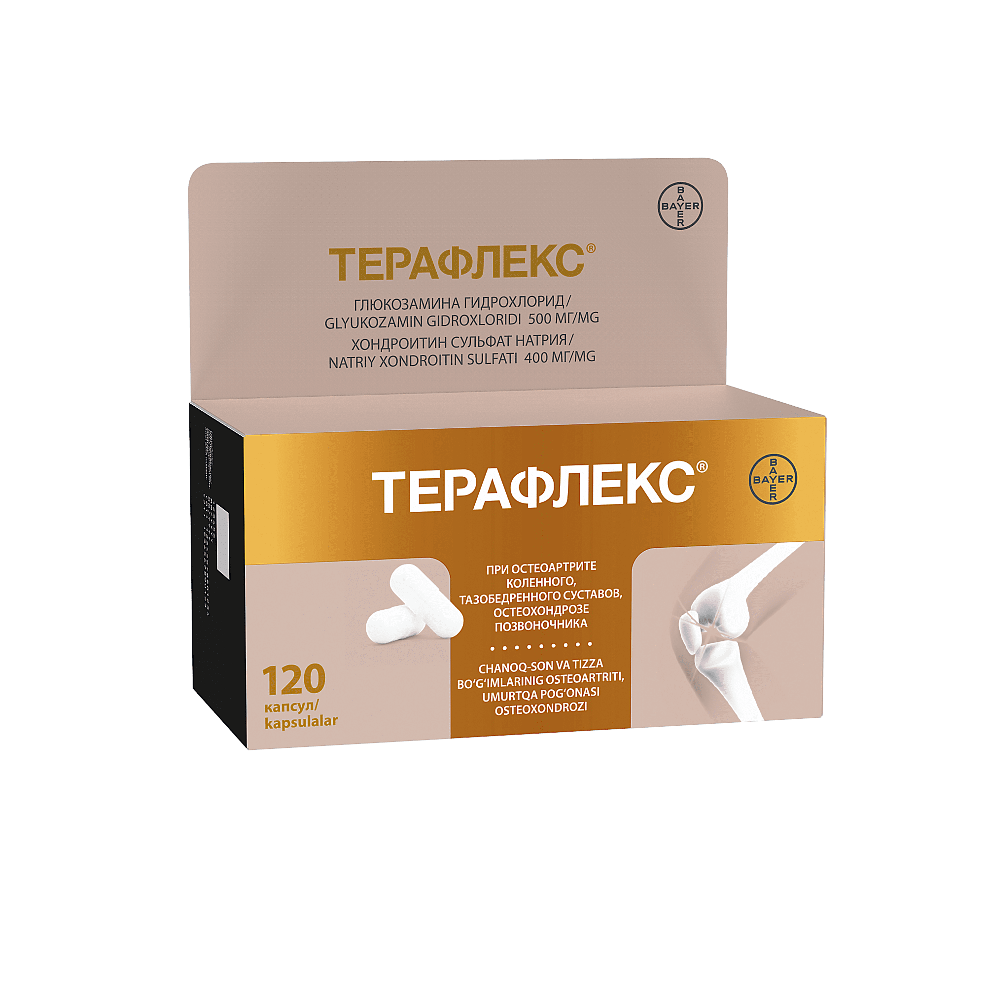 ТЕРАФЛЕКС капсулы N120