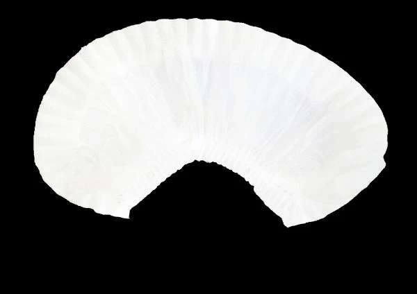 Shapochki odnorazovie Sharlotta