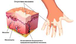 Витаминные препараты Copper
