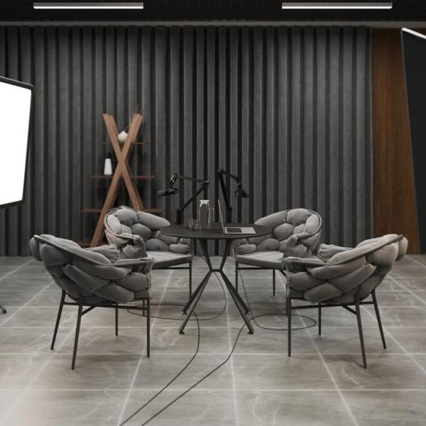 Komplekt mebeli dlya studii zvukozapisi AIKO