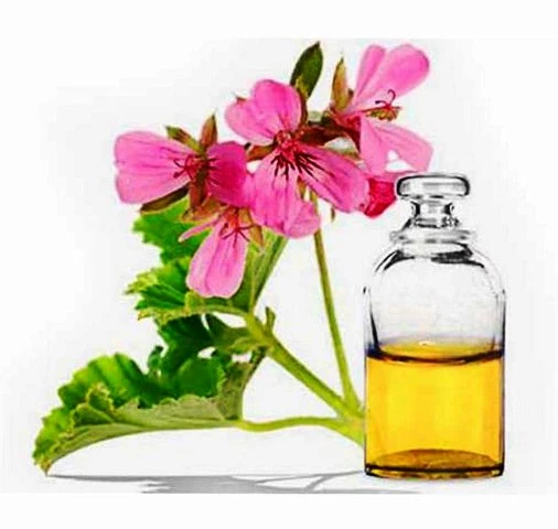 Efirnoe maslo Gerani yegipetskoy Vivasan, Shveysariya