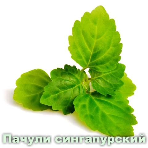 Ортопедические стельки "Талус Ортоник"