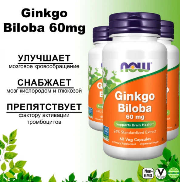 Metabolizmni normallashtirish uchun kapsulalar "Ginkgo Biloba"
