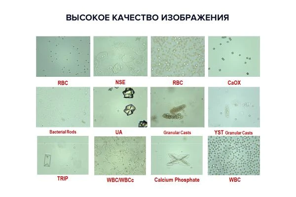 Автоматическая станция анализа мочи Laura XL