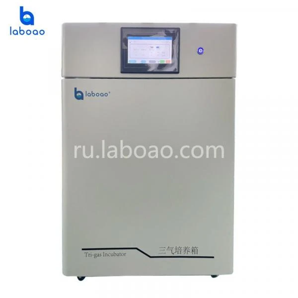 Inkubator CO2 O2 N2