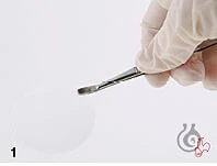 Membrannie filtri, Hahnemühle