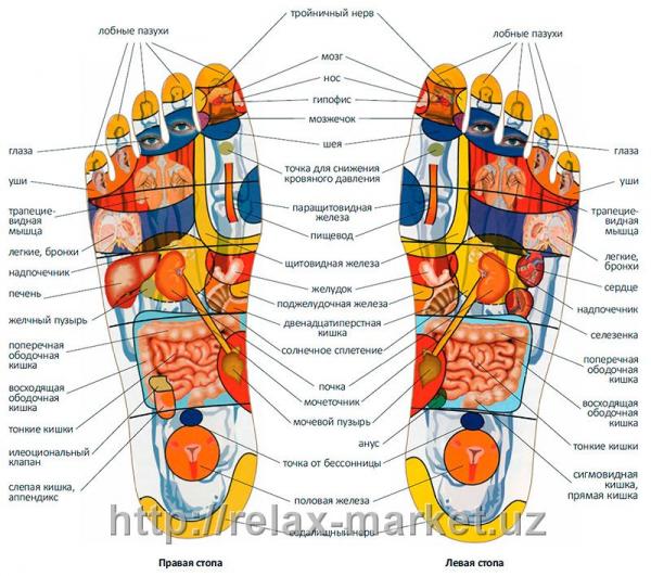 Массажные тапочки Foot - Reflex