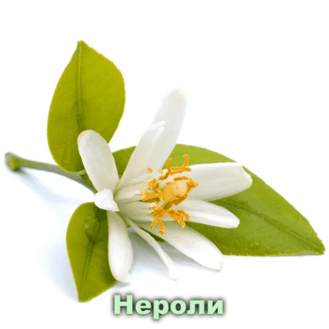 Efirnoe maslo Neroli, Vivasan, Shveysariya