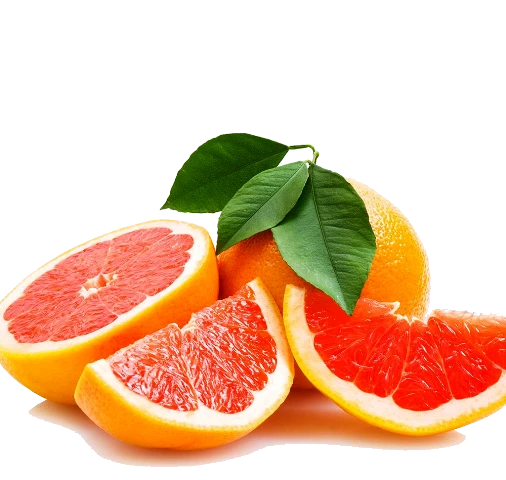 Ekstrakt greypfrutovix kostochek Vivasan, Shveysariya