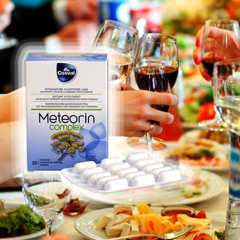 Метеорин для восстановления ЖКТ Vivasan, Швейцария