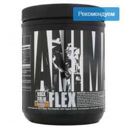 Animal Flex Powder 381 gr 30 porsiy