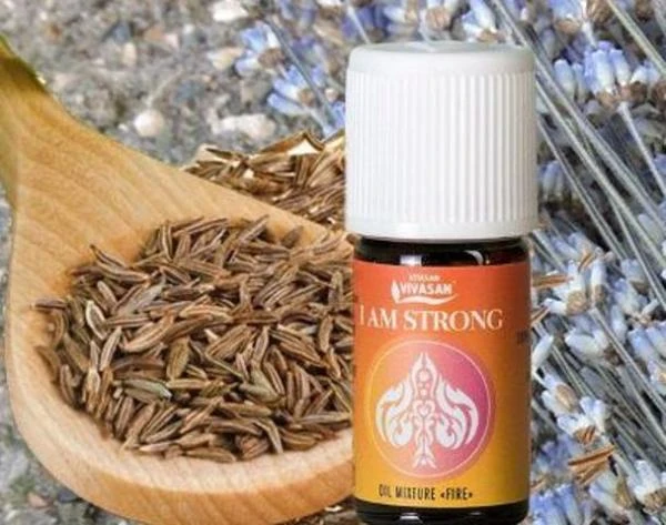 Композиция 100% эф.масел «Я полон сил» (I am strong) Vivasan