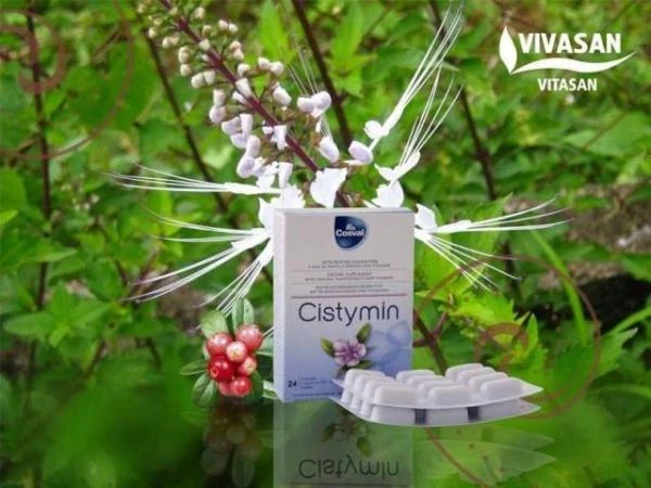 Sistimin  Vivasan, Shveysariya