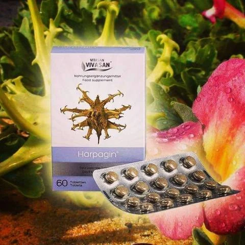 Xarpagin (martiniya dushistaya) bo'g'inlar uchun Vivasan, Shveysariya