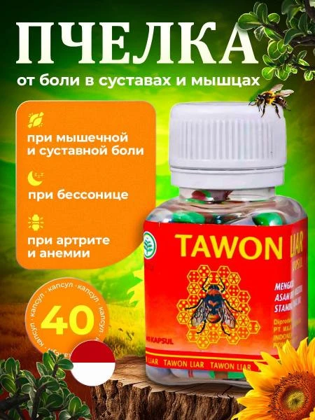 Tawon Liar qo'shimcha va mushak og'rig'i uchun kapsulalar