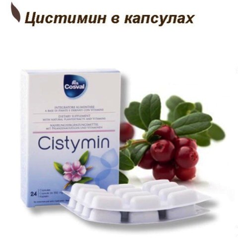 Цистимин для мочевыделительной системы Vivasan, Швейцария