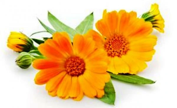 Krem dlya nog «Vosstanavlivayushiy» Swiss Nahrin, Shveysariya