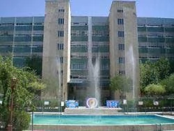 A - oliy ma'lumotli TM hamshirasi