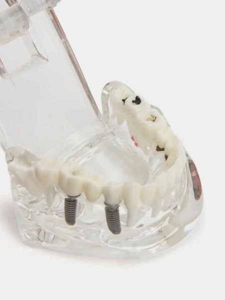 Mulyaj All in one model