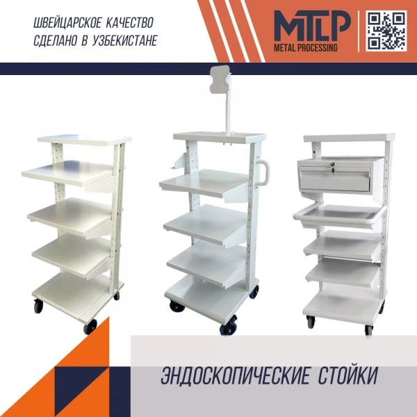 Endoskopicheskaya telejka (apparatnaya stoyka)