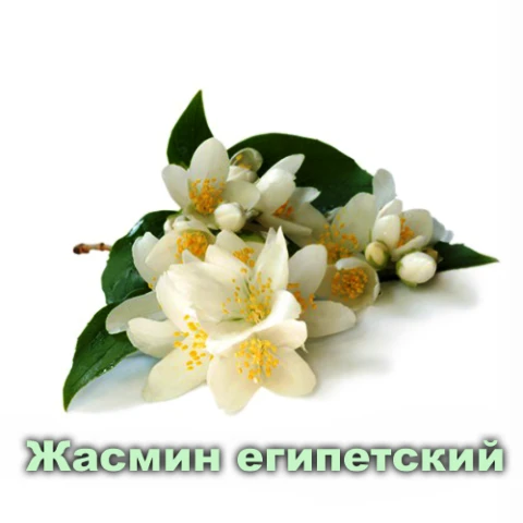 Эфирное масло Жасмина египетского Vivasan, Швейцария