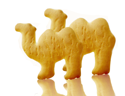 Печенье “Караван”