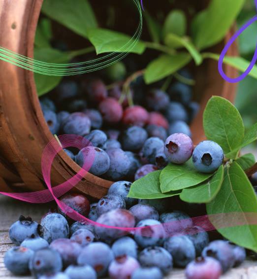 Napitok Chernika vital Vivasan, Shveysariya