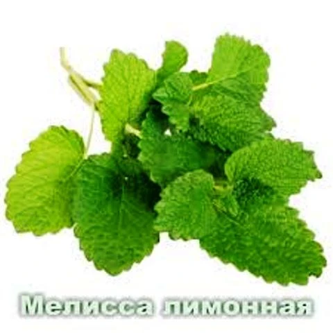 Эфирное масло Мелиссы лимонной Vivasan, Швейцария