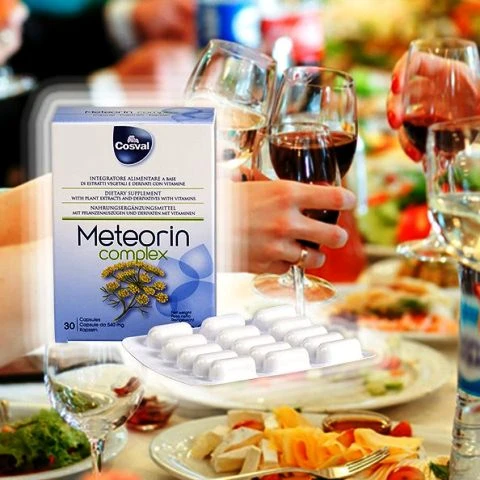 Метеорин для восстановления ЖКТ Vivasan, Швейцария