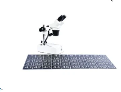 Nakladka na stol dlya obrazsov myasa