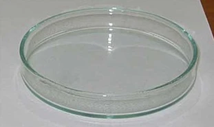 Чашка Петри