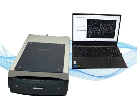 Tester kachestva vneshnego vida risa