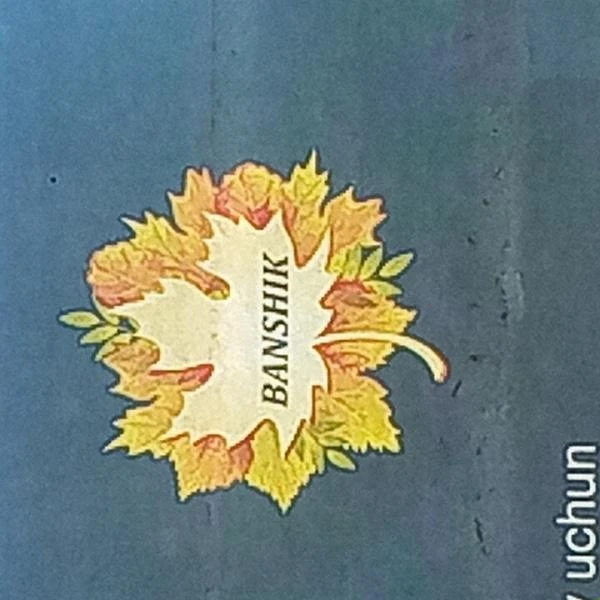 BANSHIK