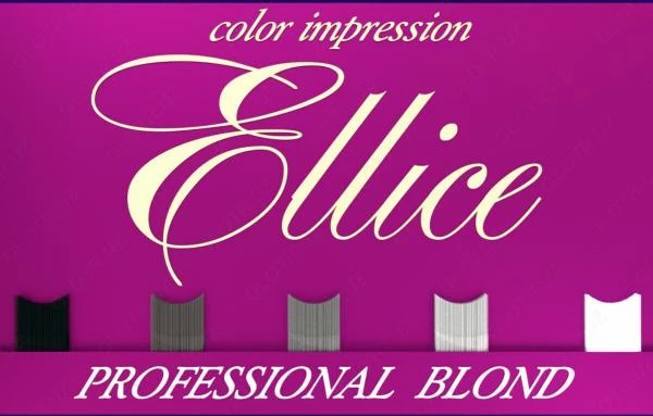 Osvetlyayushaya pudra - Ellice color impression Professional BLOND