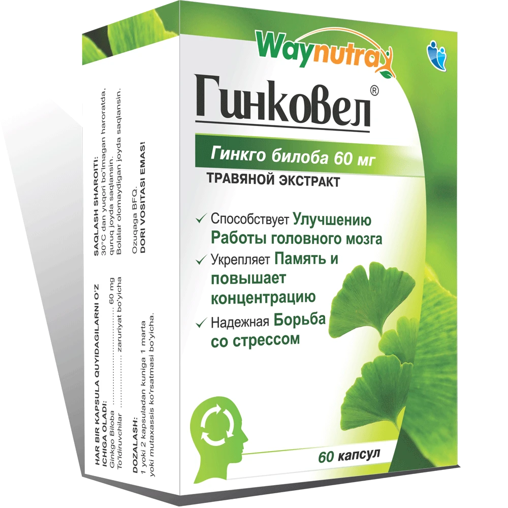 GINKOVEL kapsulalar N60