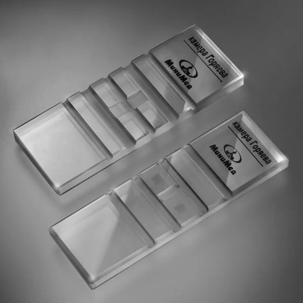 Камера Горяева 2-сеточный