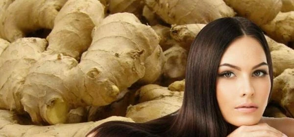 Maslo dlya rosta i vosstanovleniya volos Trichup oil (100 ml)