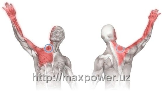 Универсальный иммобилайзер на плечах