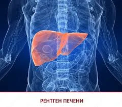 Lver zime tonik dlya pecheni