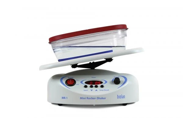 Mini‐roker‐sheyker MR-1