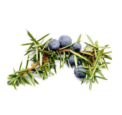 Efirnoe maslo Mojjevelnika Vivasan, Shveysariya