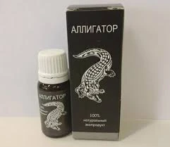 Alligator tomchilar