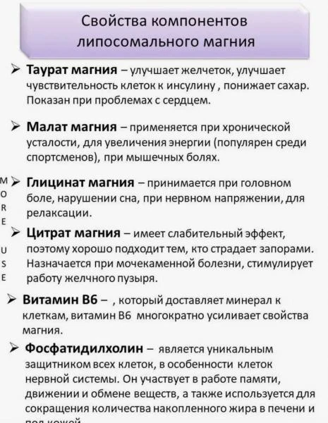 Витамины для энергетического метаболизма MAG-5X LIPOSOMAL MAGNESIUM