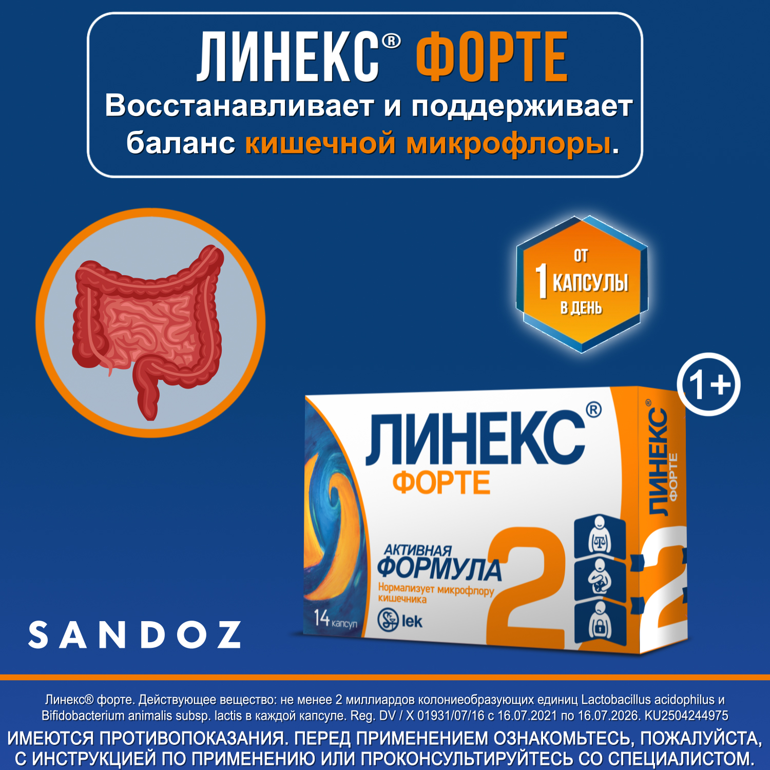 LINEKS FORTE kapsulalar  N14