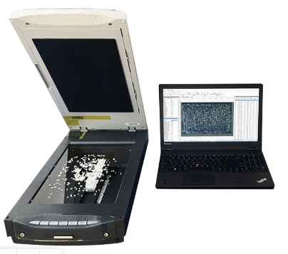 Analizator vneshnego vida i kachestva risa