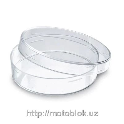 Чашка Петри